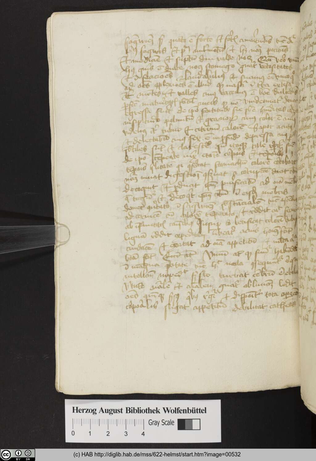 http://diglib.hab.de/mss/622-helmst/00532.jpg