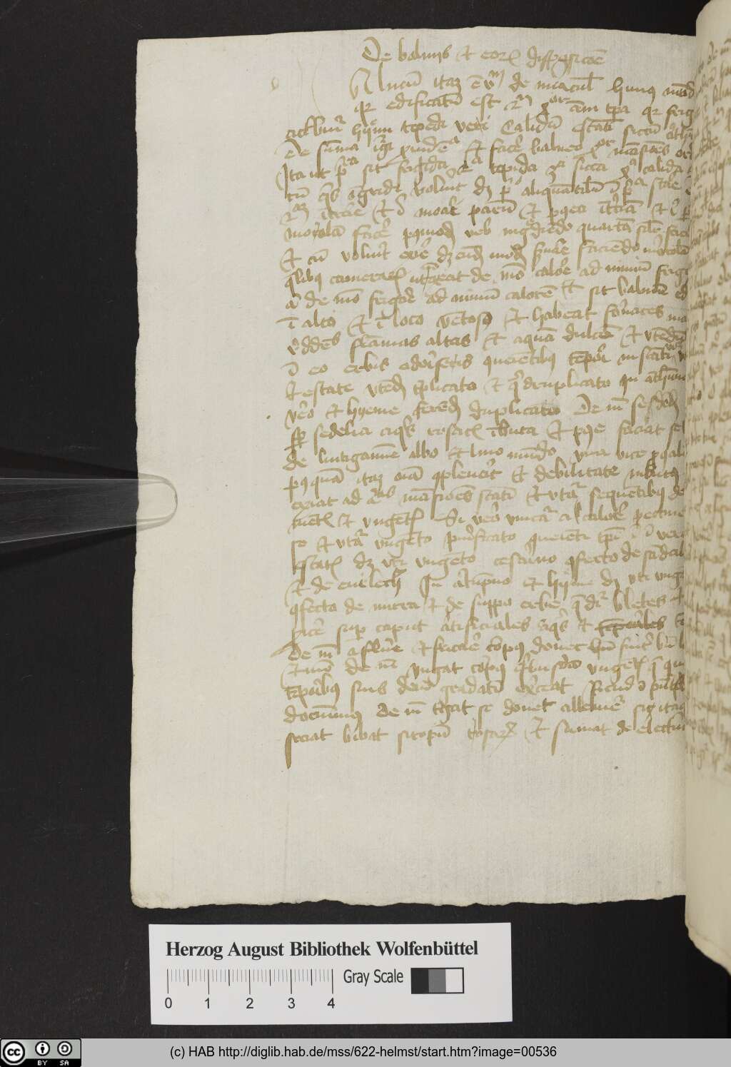 http://diglib.hab.de/mss/622-helmst/00536.jpg