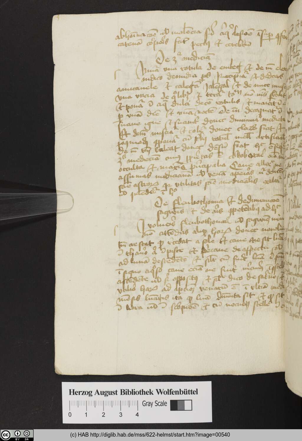 http://diglib.hab.de/mss/622-helmst/00540.jpg