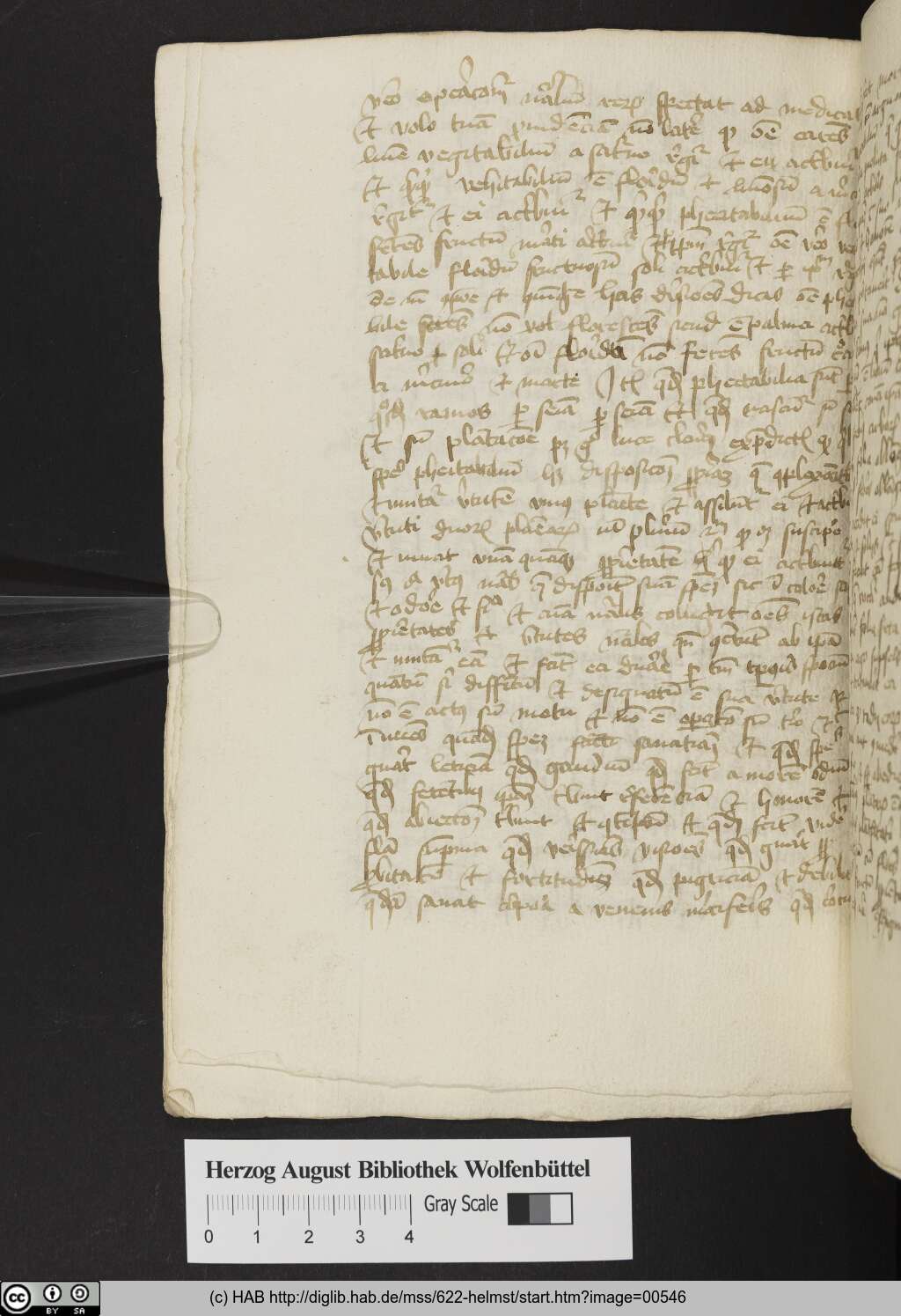 http://diglib.hab.de/mss/622-helmst/00546.jpg