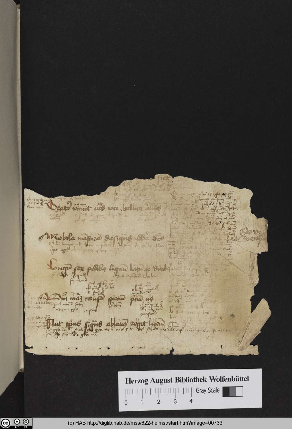 http://diglib.hab.de/mss/622-helmst/00733.jpg