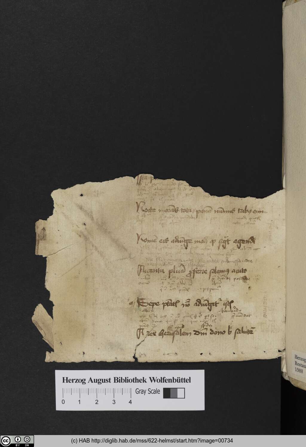http://diglib.hab.de/mss/622-helmst/00734.jpg