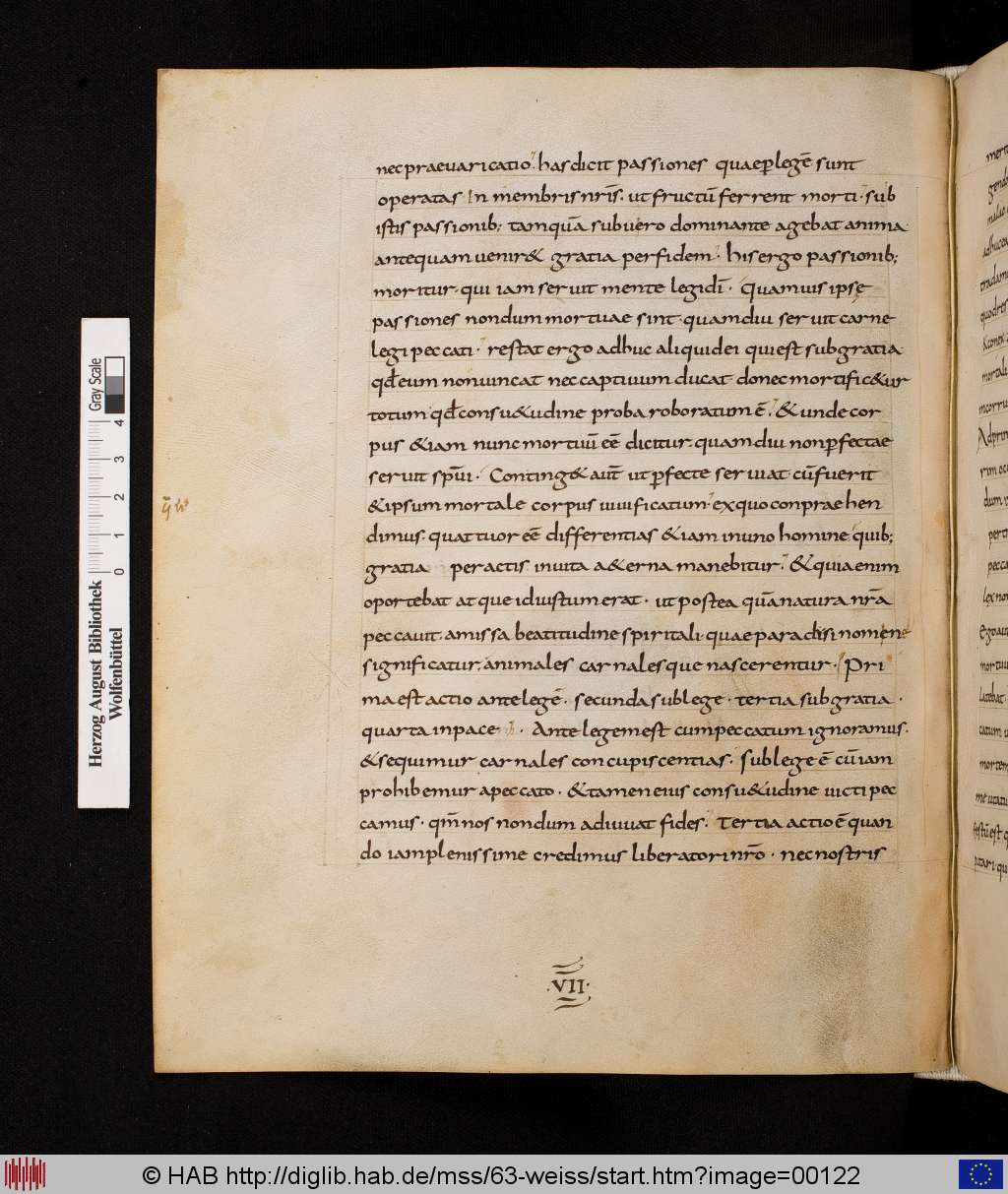 http://diglib.hab.de/mss/63-weiss/00122.jpg