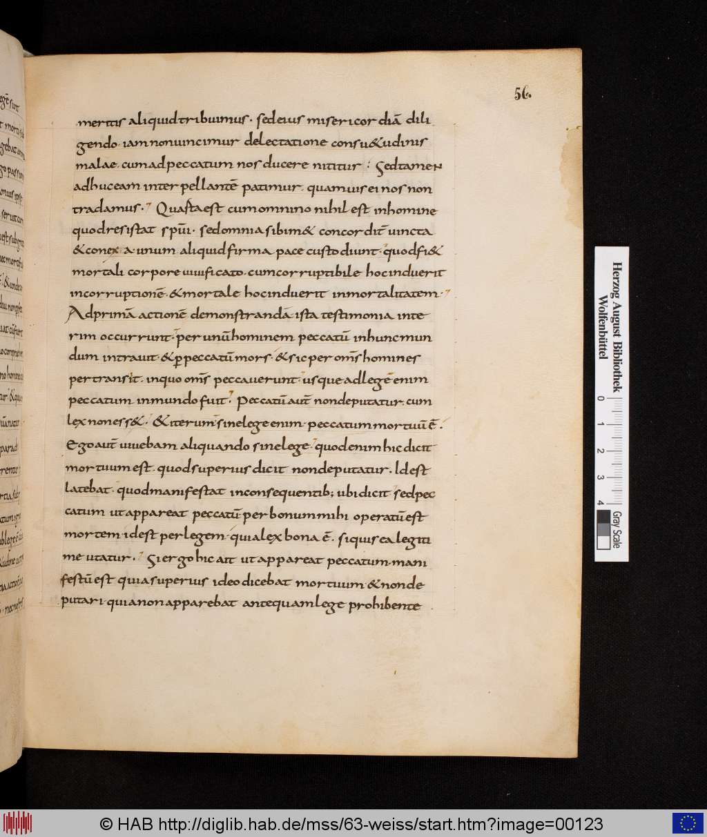 http://diglib.hab.de/mss/63-weiss/00123.jpg