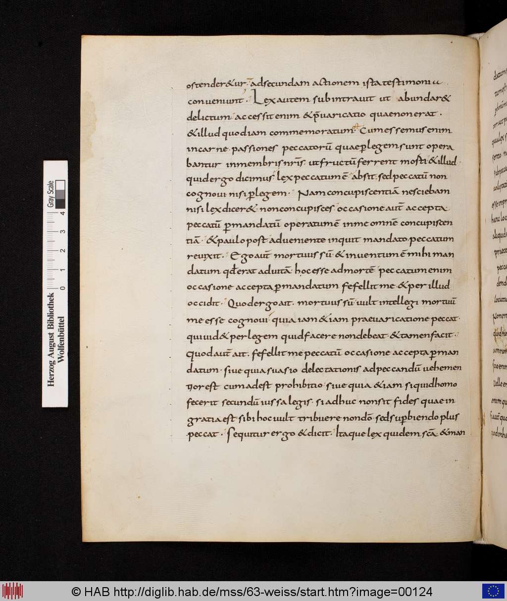 http://diglib.hab.de/mss/63-weiss/00124.jpg