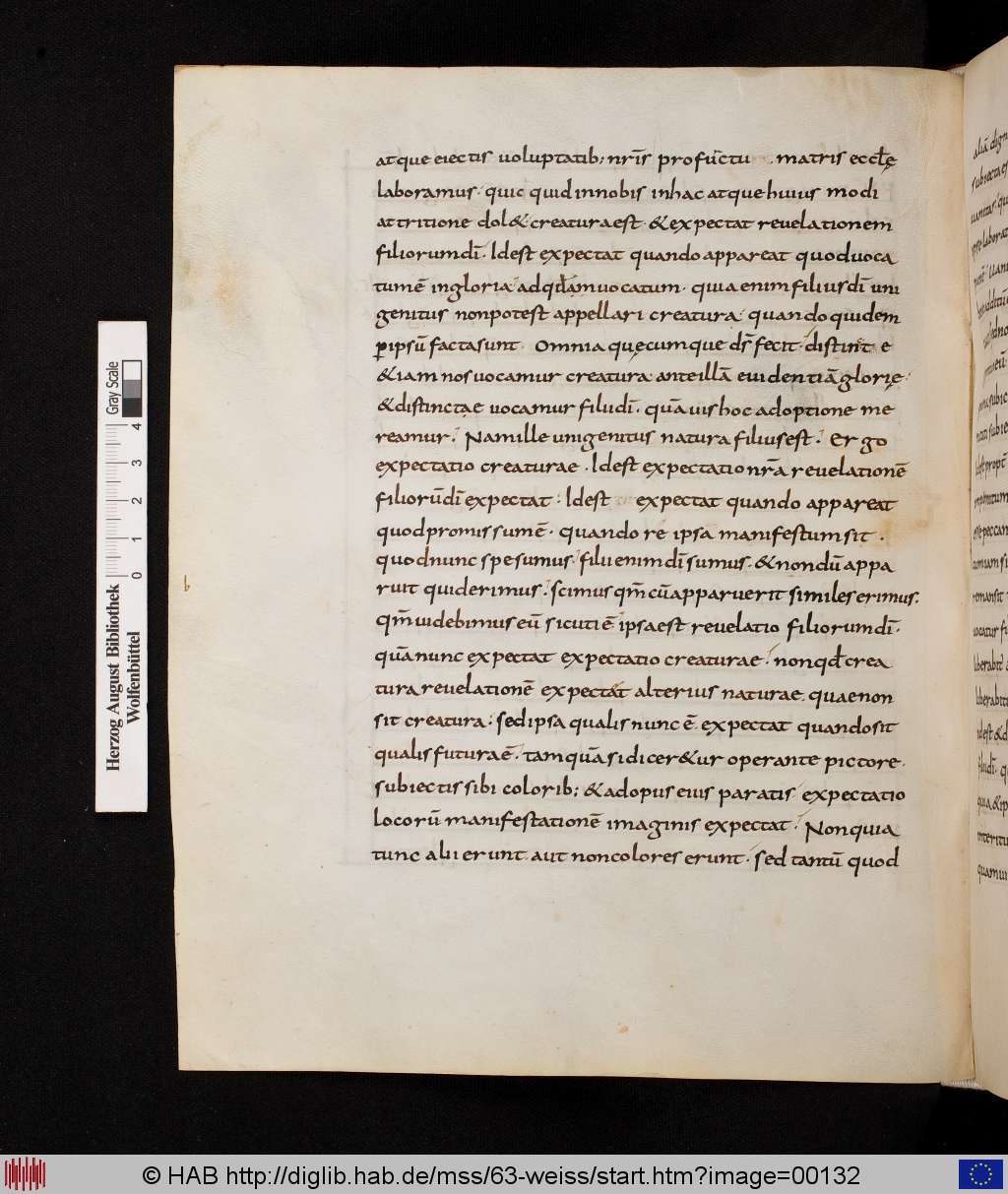 http://diglib.hab.de/mss/63-weiss/00132.jpg