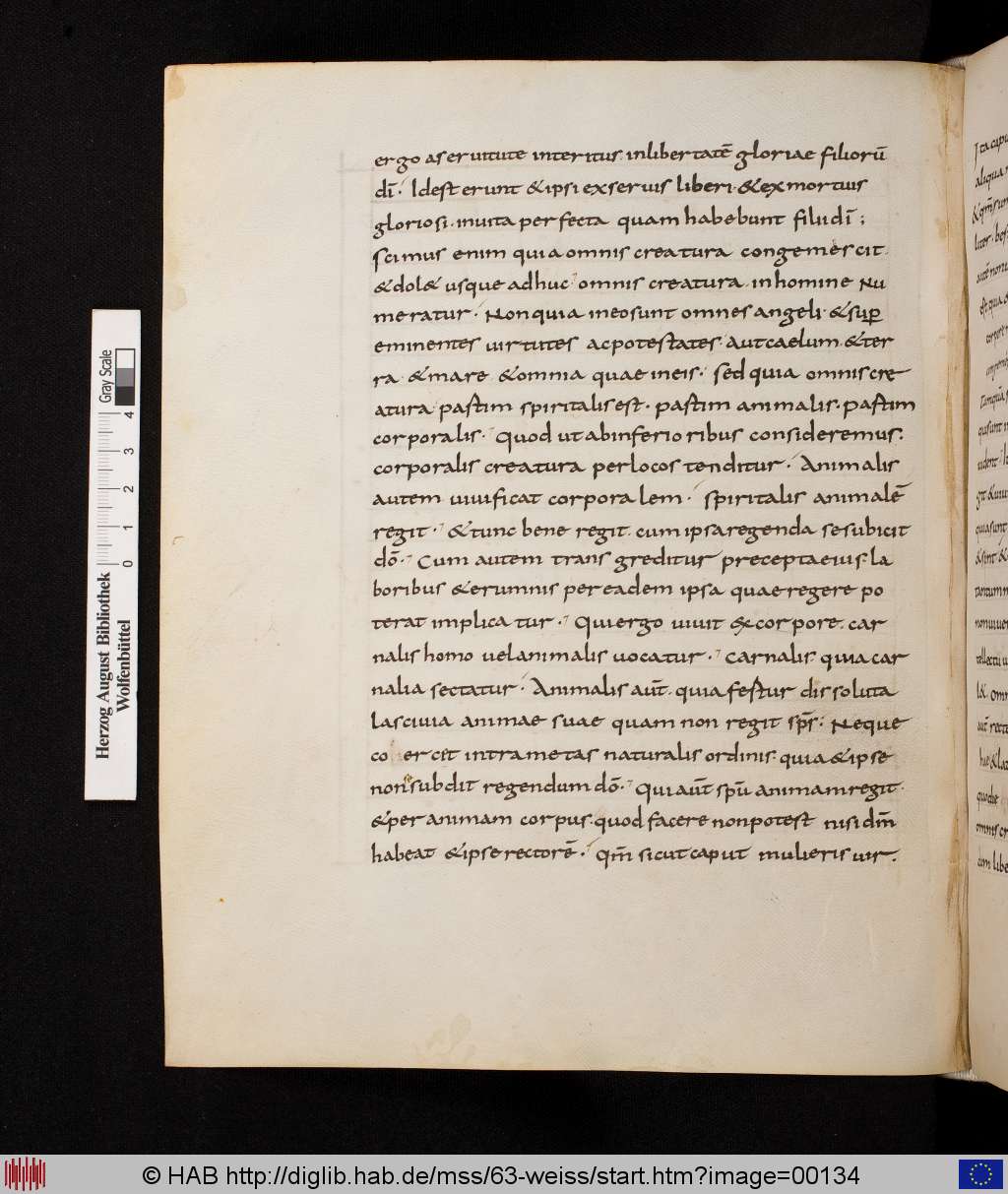 http://diglib.hab.de/mss/63-weiss/00134.jpg