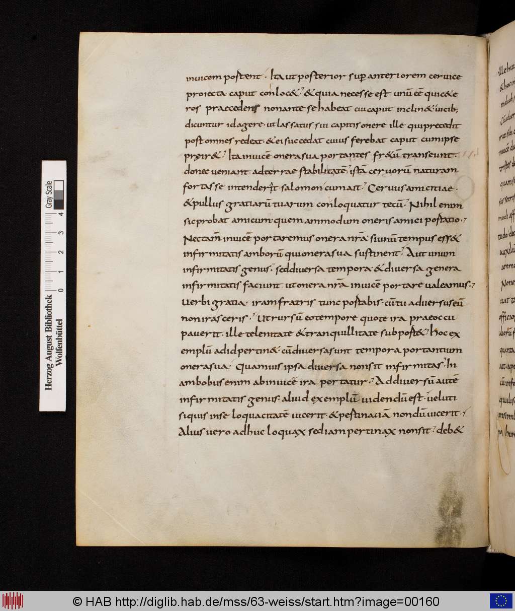 http://diglib.hab.de/mss/63-weiss/00160.jpg