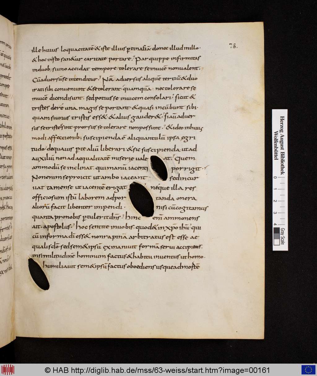 http://diglib.hab.de/mss/63-weiss/00161.jpg