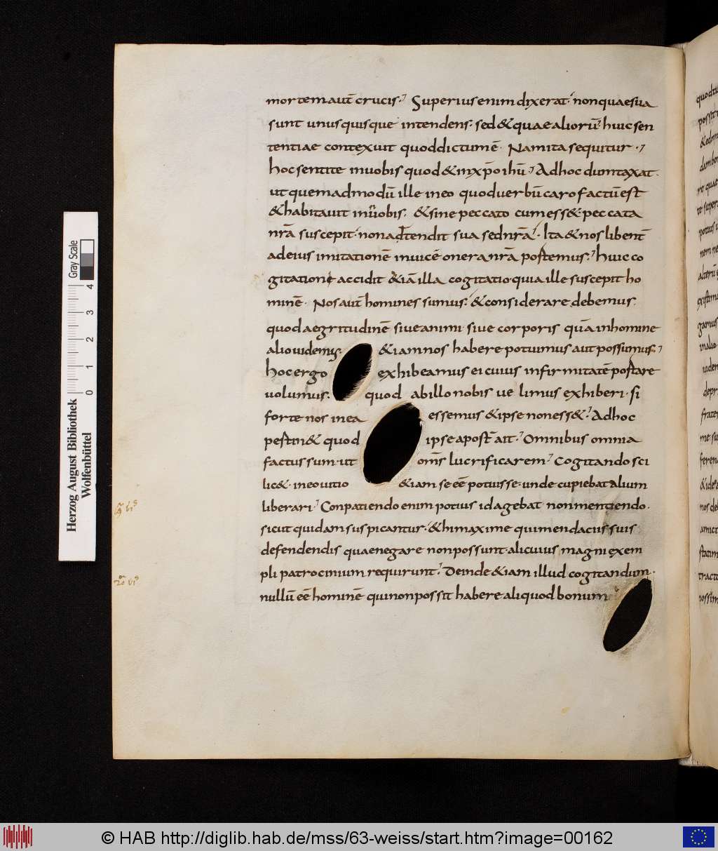 http://diglib.hab.de/mss/63-weiss/00162.jpg