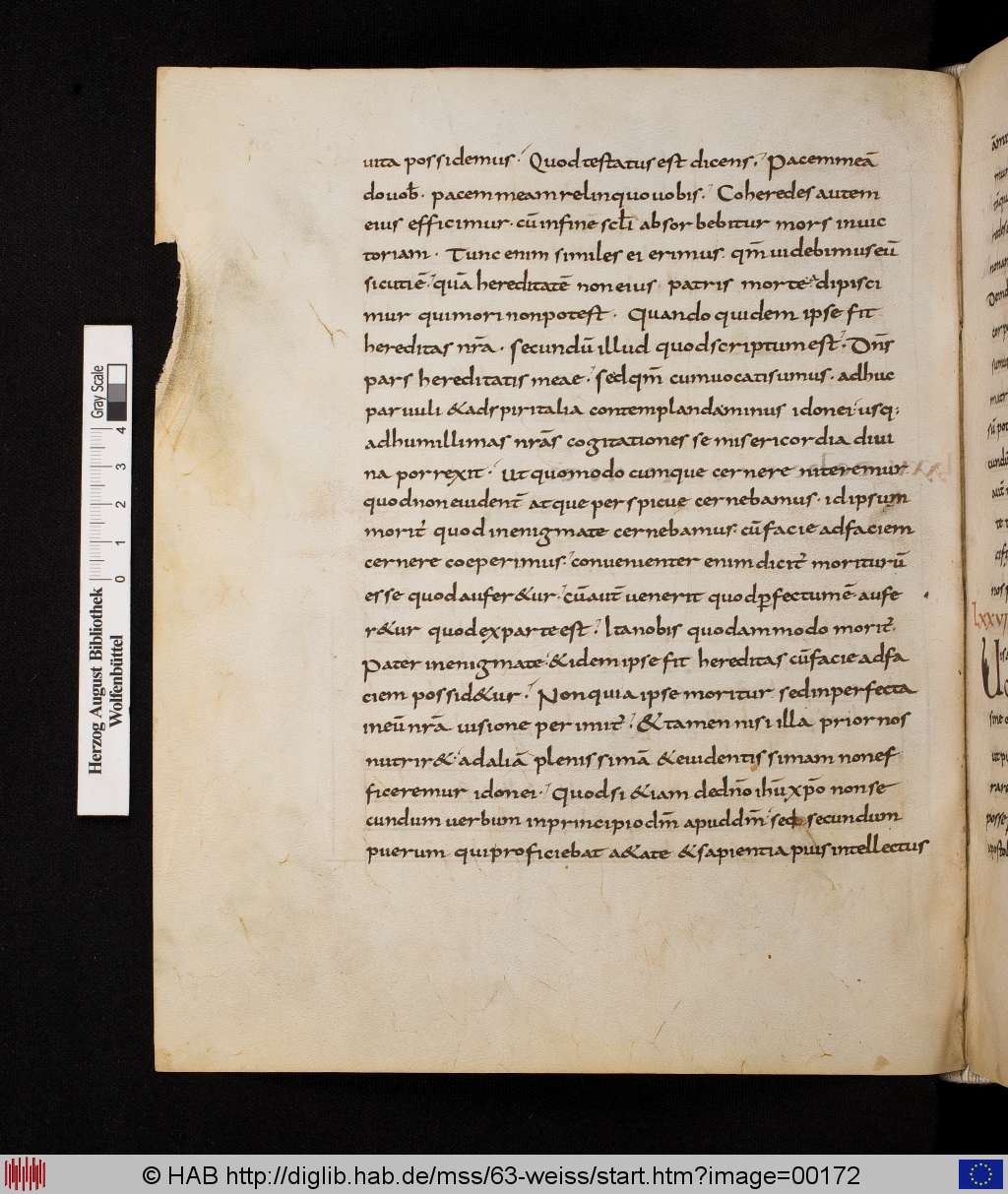 http://diglib.hab.de/mss/63-weiss/00172.jpg
