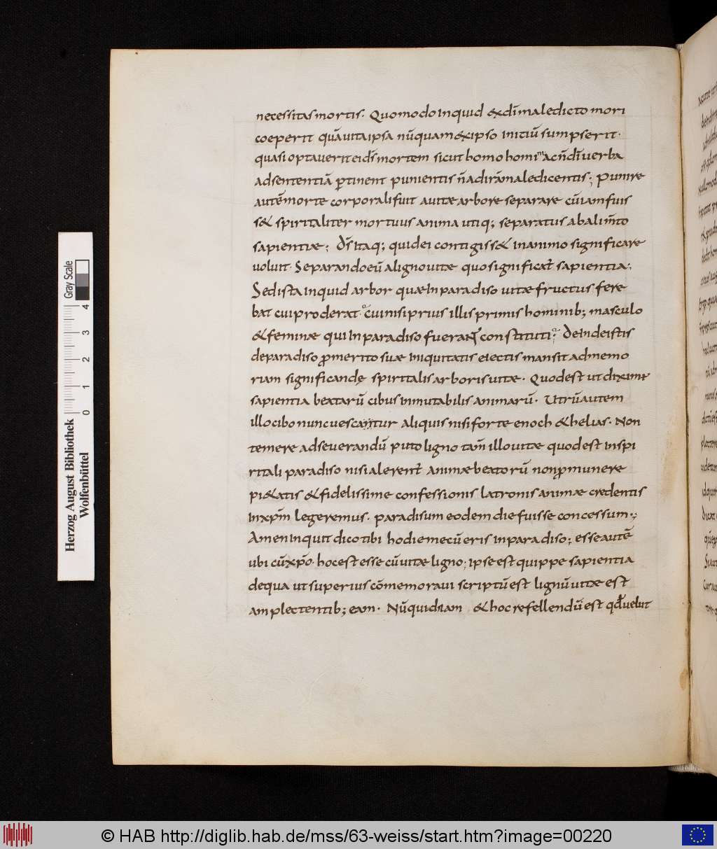 http://diglib.hab.de/mss/63-weiss/00220.jpg