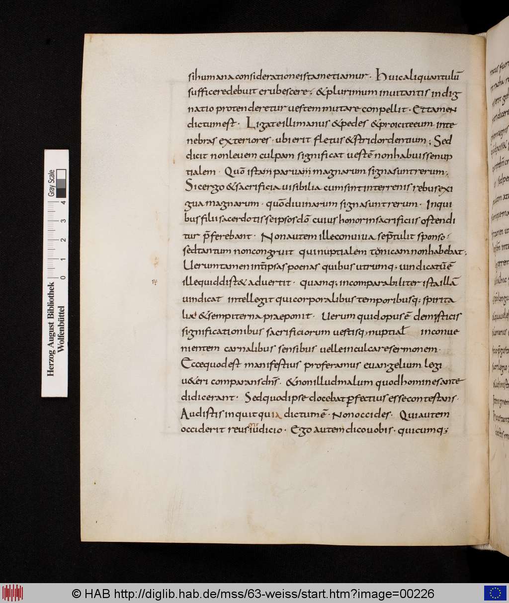 http://diglib.hab.de/mss/63-weiss/00226.jpg