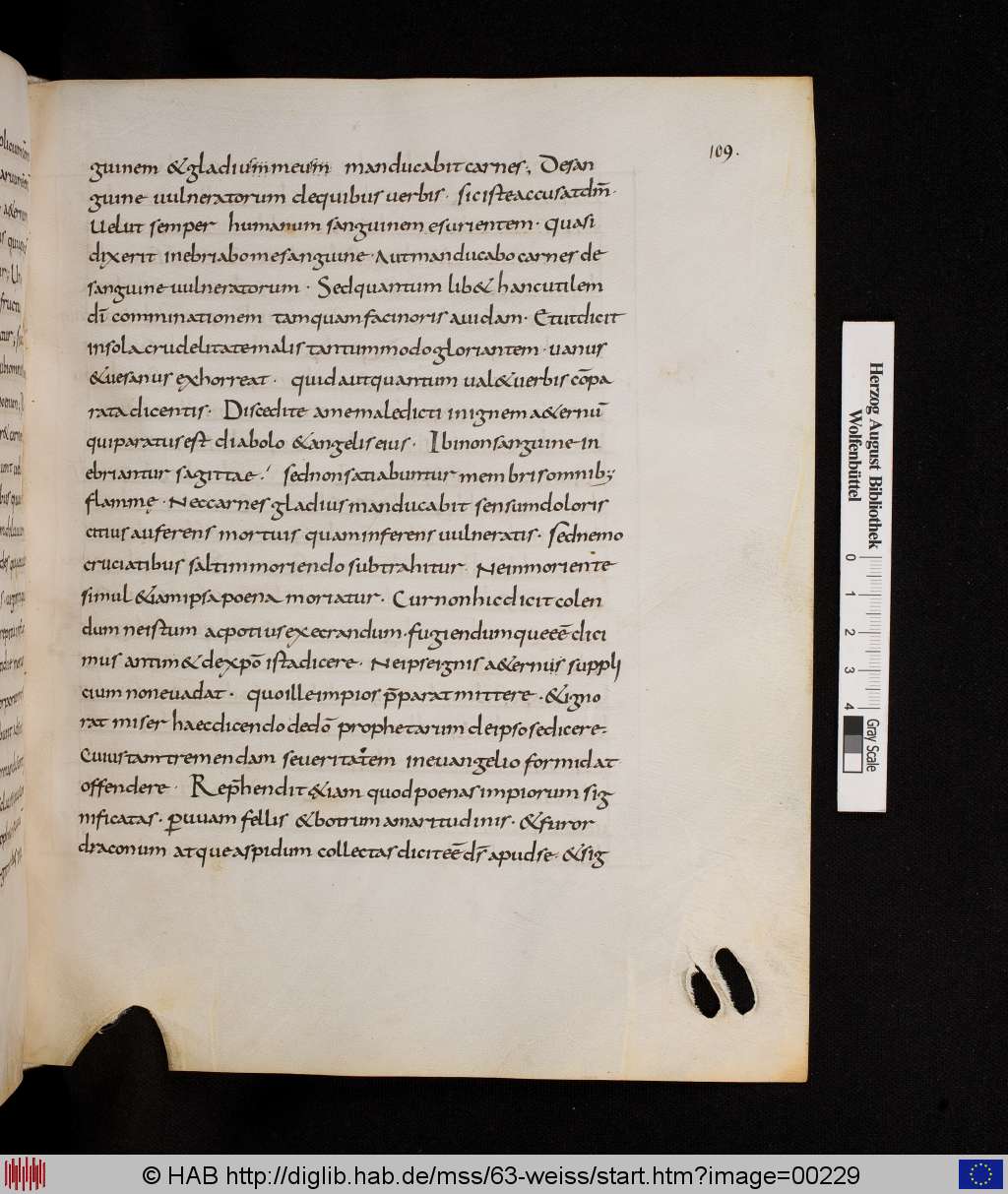 http://diglib.hab.de/mss/63-weiss/00229.jpg