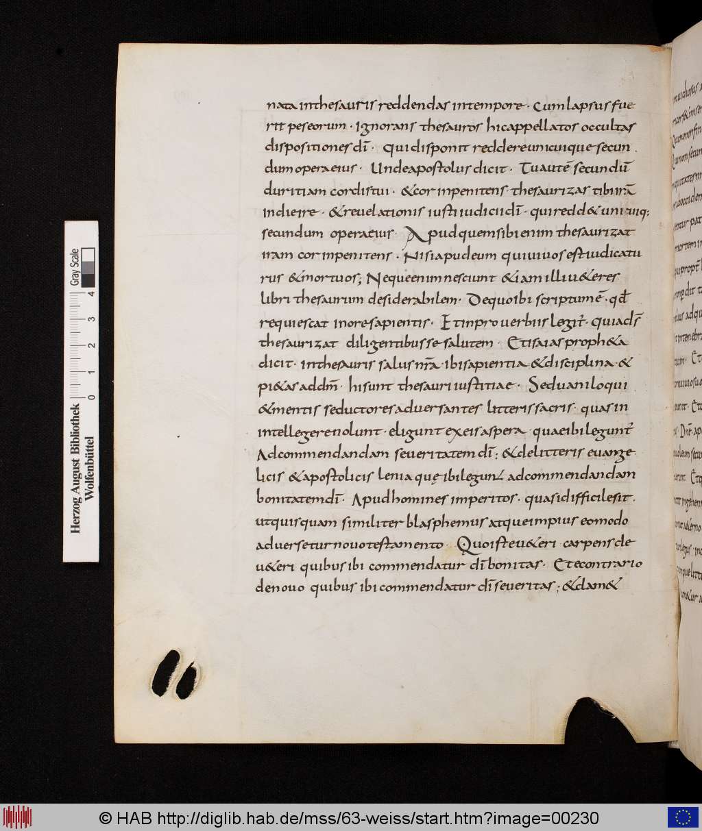 http://diglib.hab.de/mss/63-weiss/00230.jpg