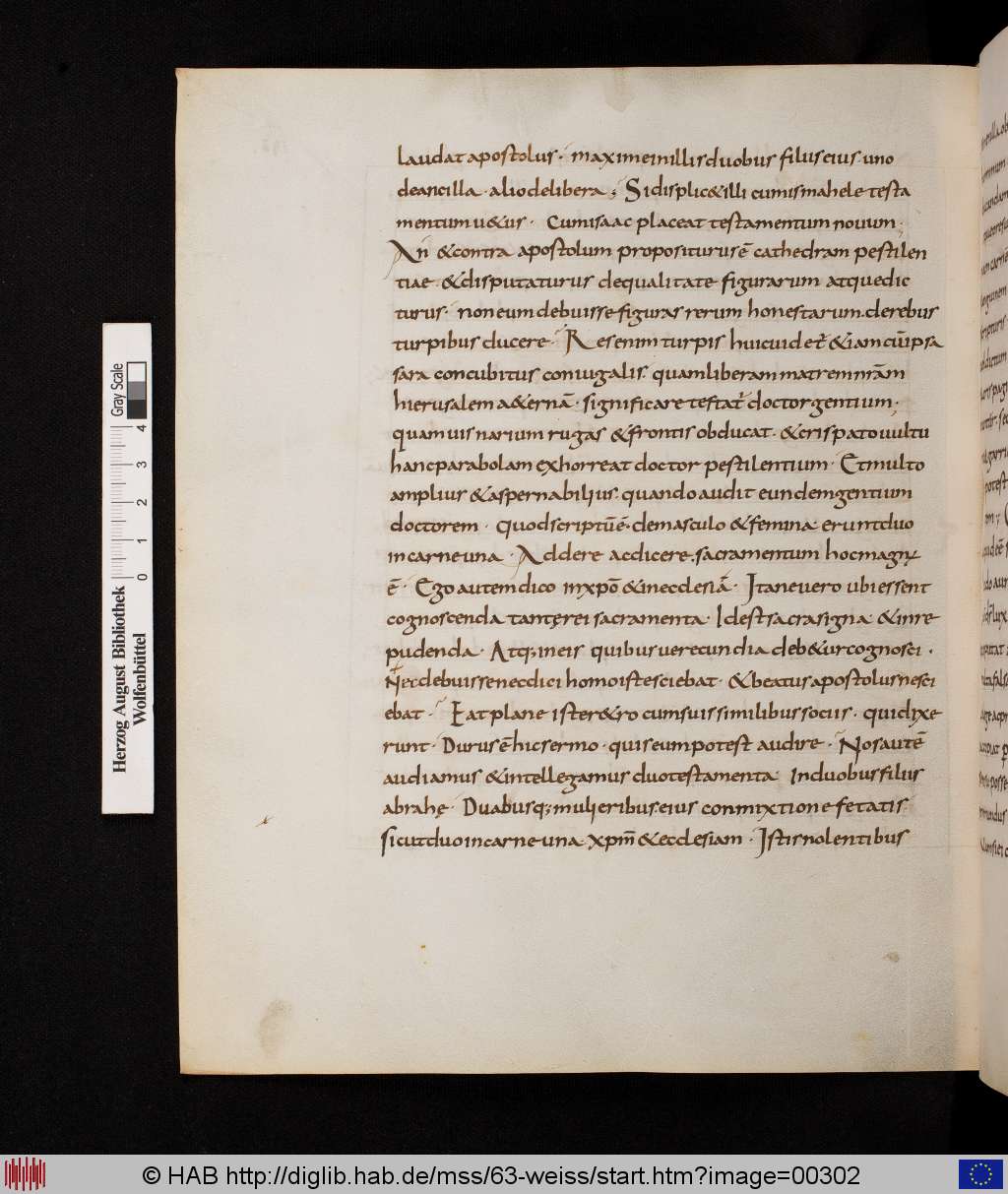 http://diglib.hab.de/mss/63-weiss/00302.jpg