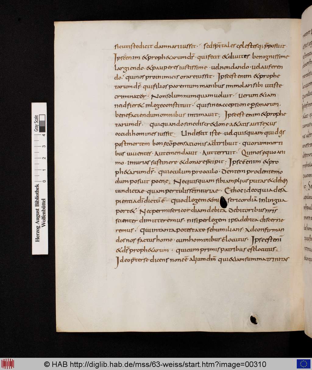 http://diglib.hab.de/mss/63-weiss/00310.jpg