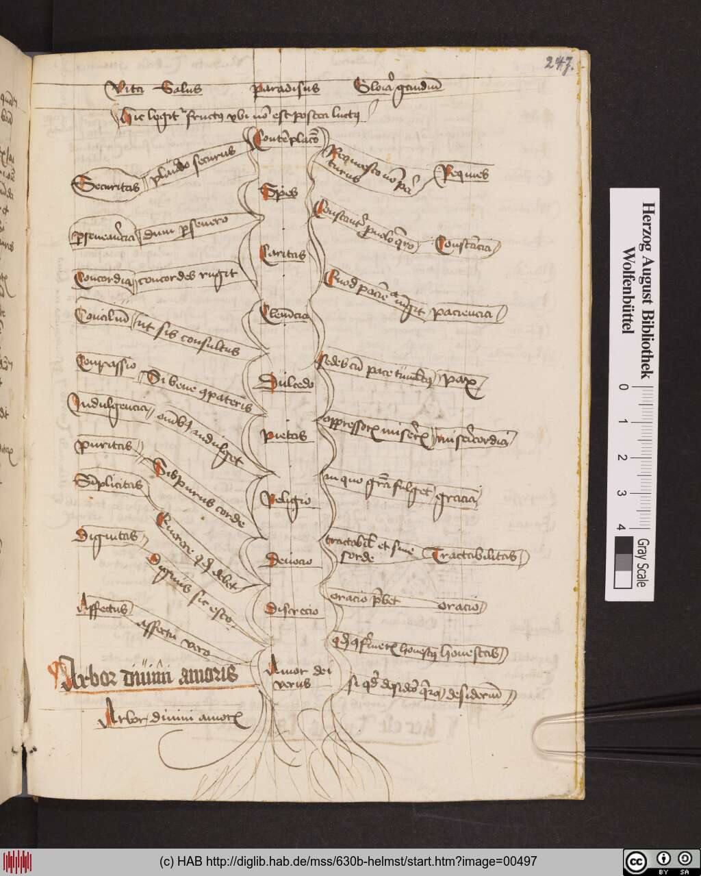http://diglib.hab.de/mss/630b-helmst/00497.jpg