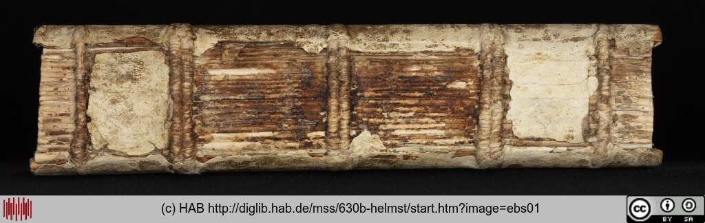 http://diglib.hab.de/mss/630b-helmst/ebs01.jpg