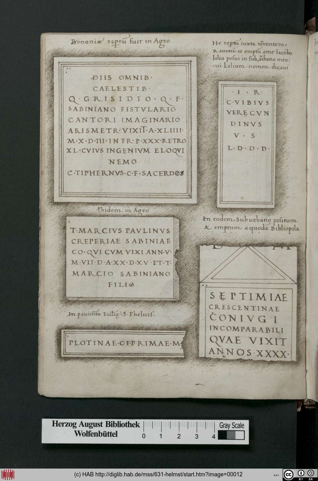 http://diglib.hab.de/mss/631-helmst/00012.jpg