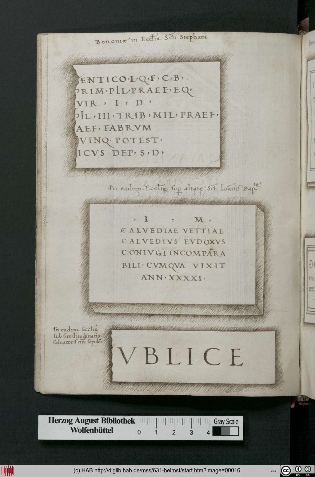 http://diglib.hab.de/mss/631-helmst/00016.jpg
