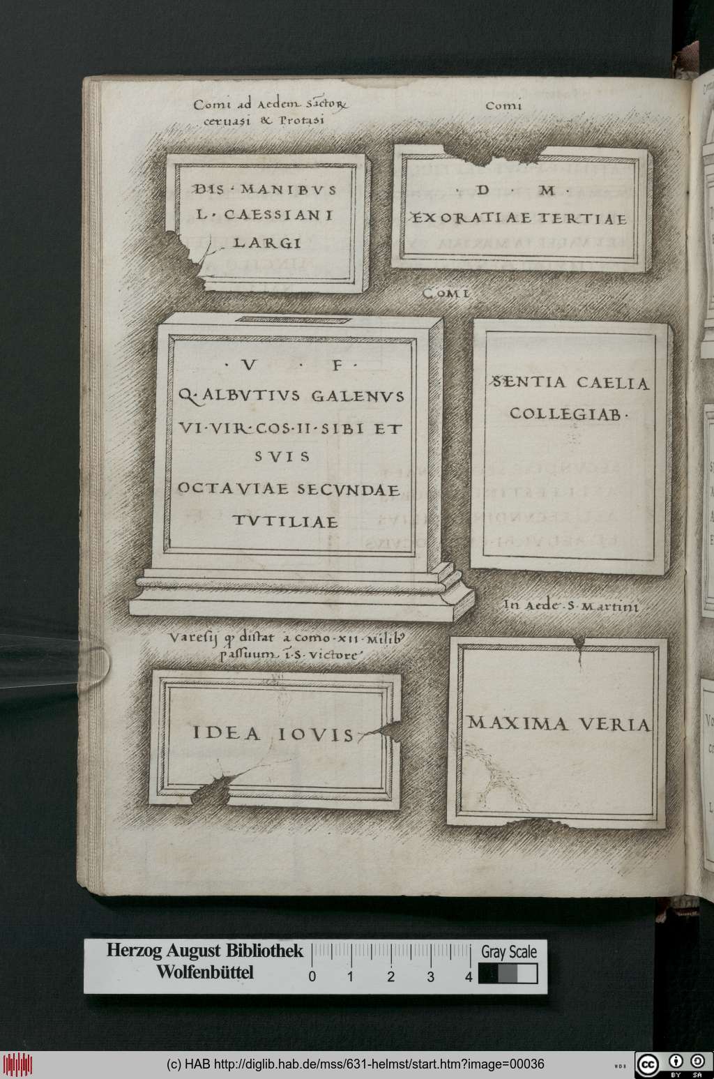 http://diglib.hab.de/mss/631-helmst/00036.jpg