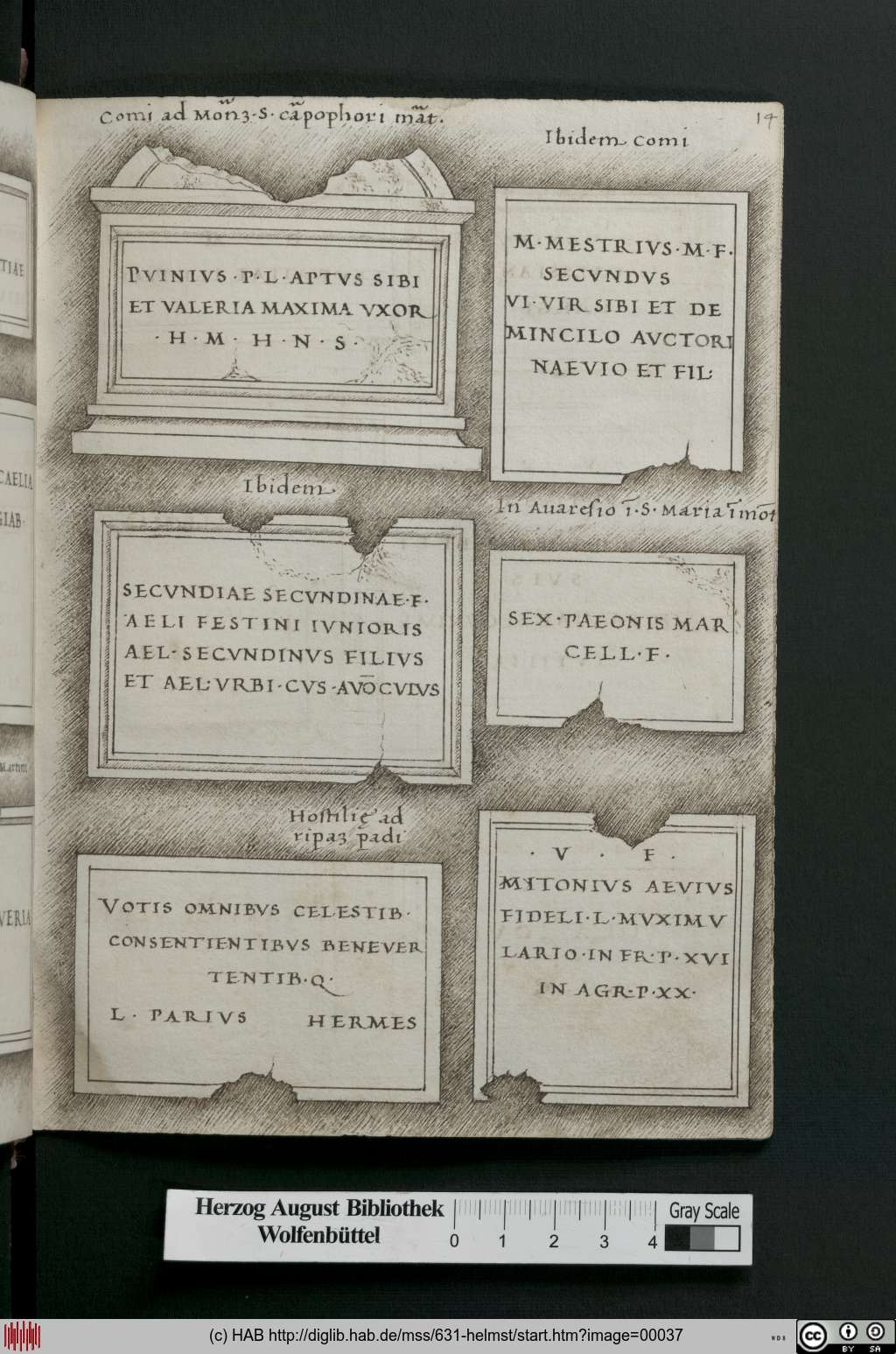 http://diglib.hab.de/mss/631-helmst/00037.jpg
