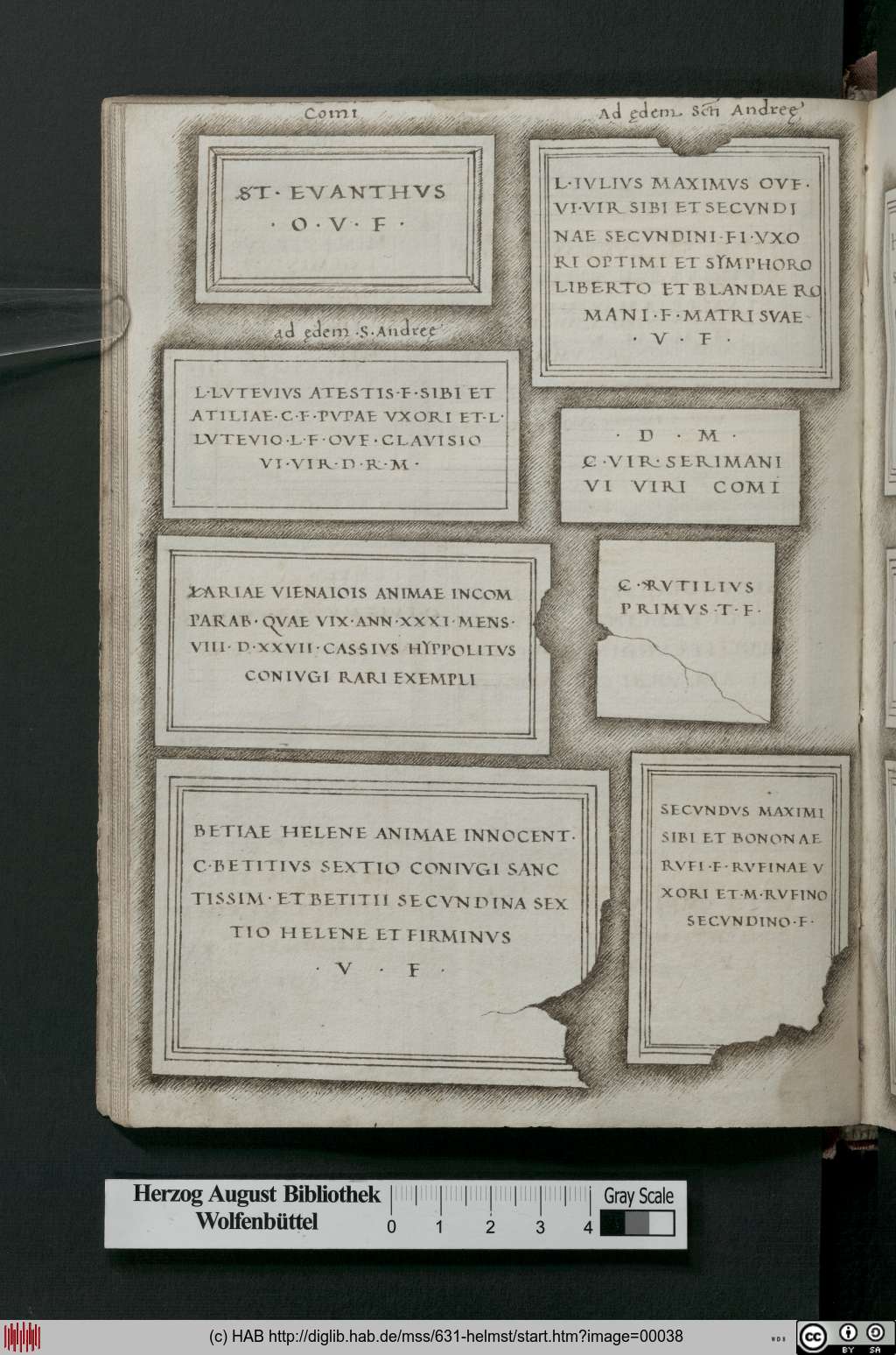 http://diglib.hab.de/mss/631-helmst/00038.jpg