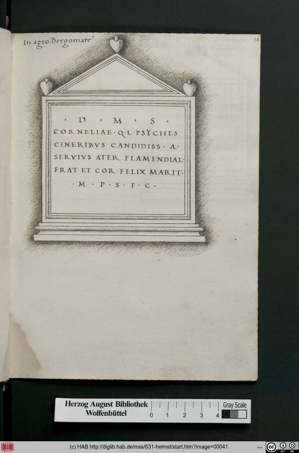 http://diglib.hab.de/mss/631-helmst/00041.jpg