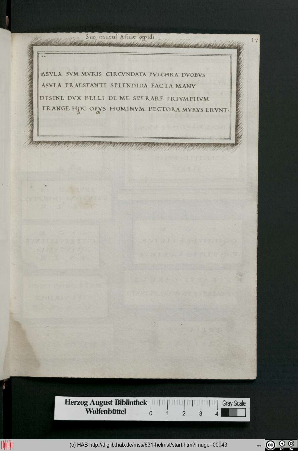 http://diglib.hab.de/mss/631-helmst/00043.jpg