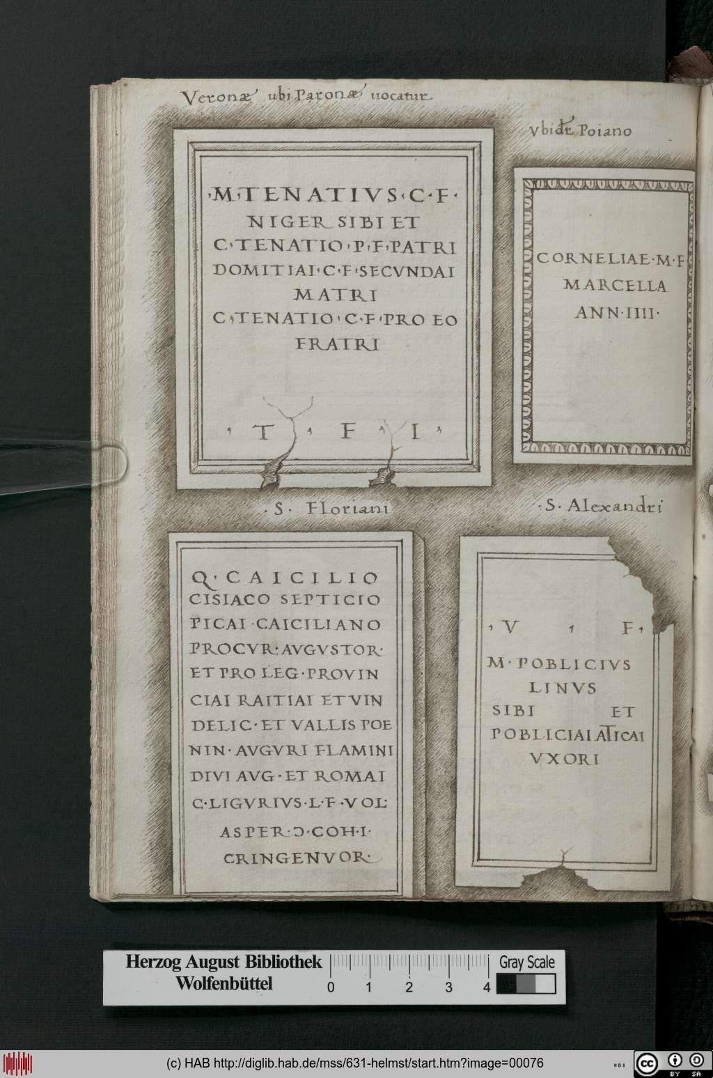 http://diglib.hab.de/mss/631-helmst/00076.jpg