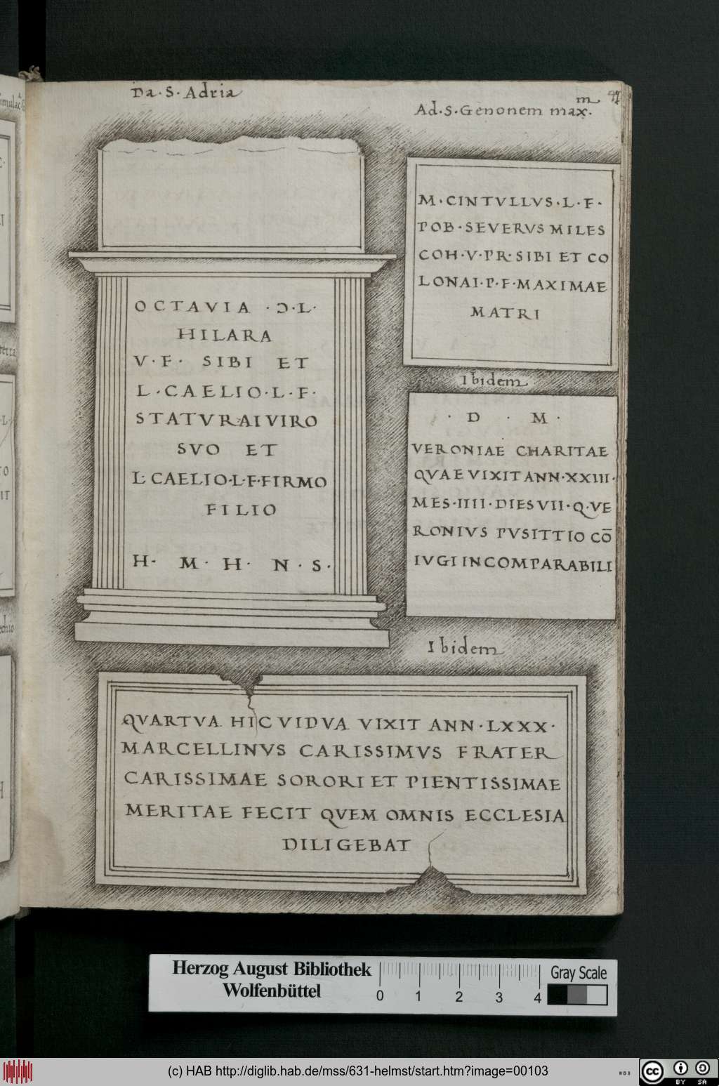http://diglib.hab.de/mss/631-helmst/00103.jpg
