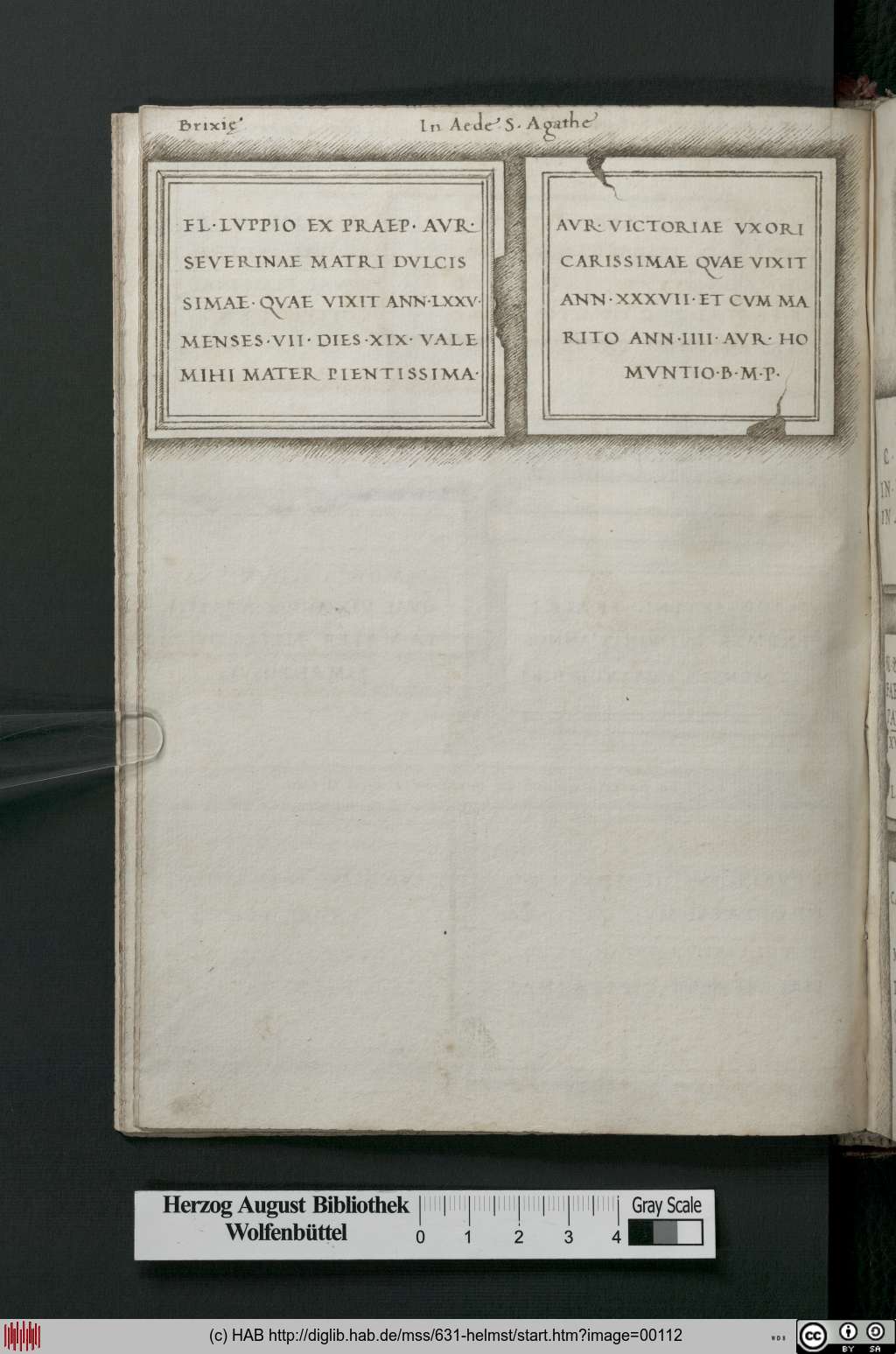 http://diglib.hab.de/mss/631-helmst/00112.jpg