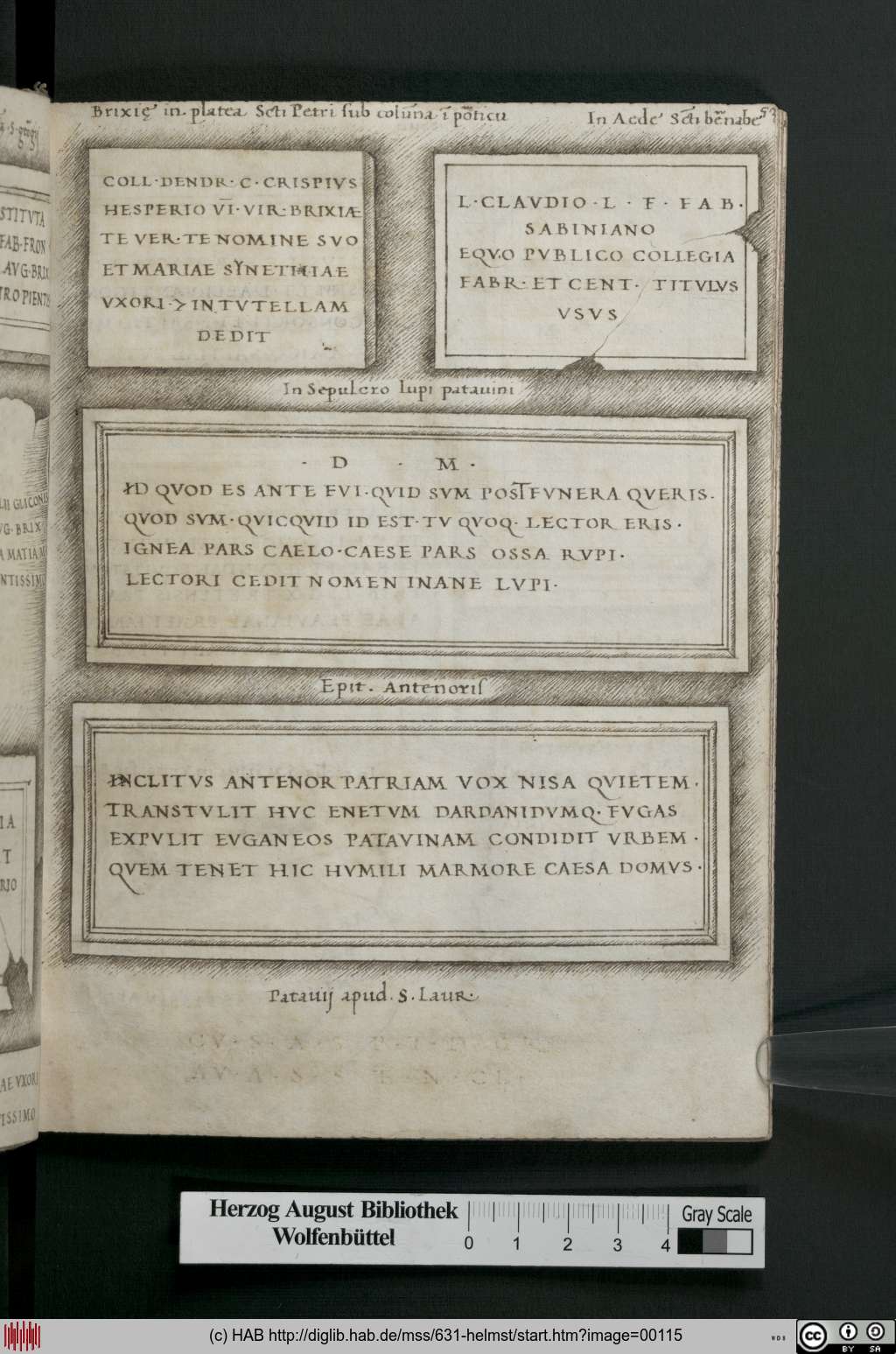 http://diglib.hab.de/mss/631-helmst/00115.jpg