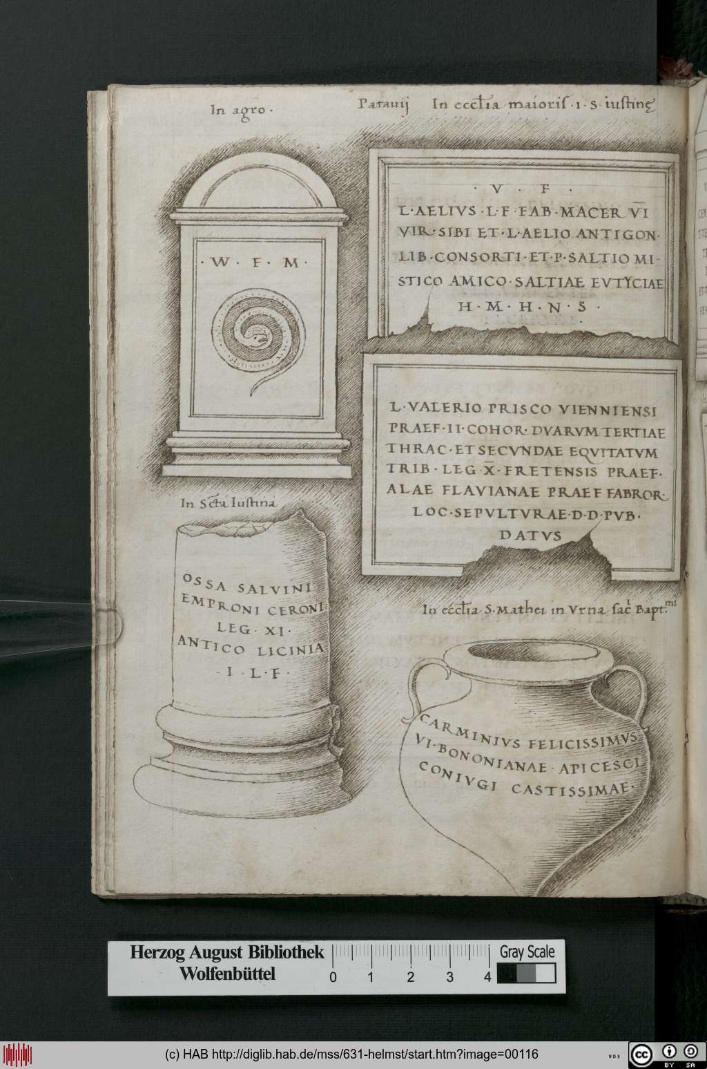 http://diglib.hab.de/mss/631-helmst/00116.jpg