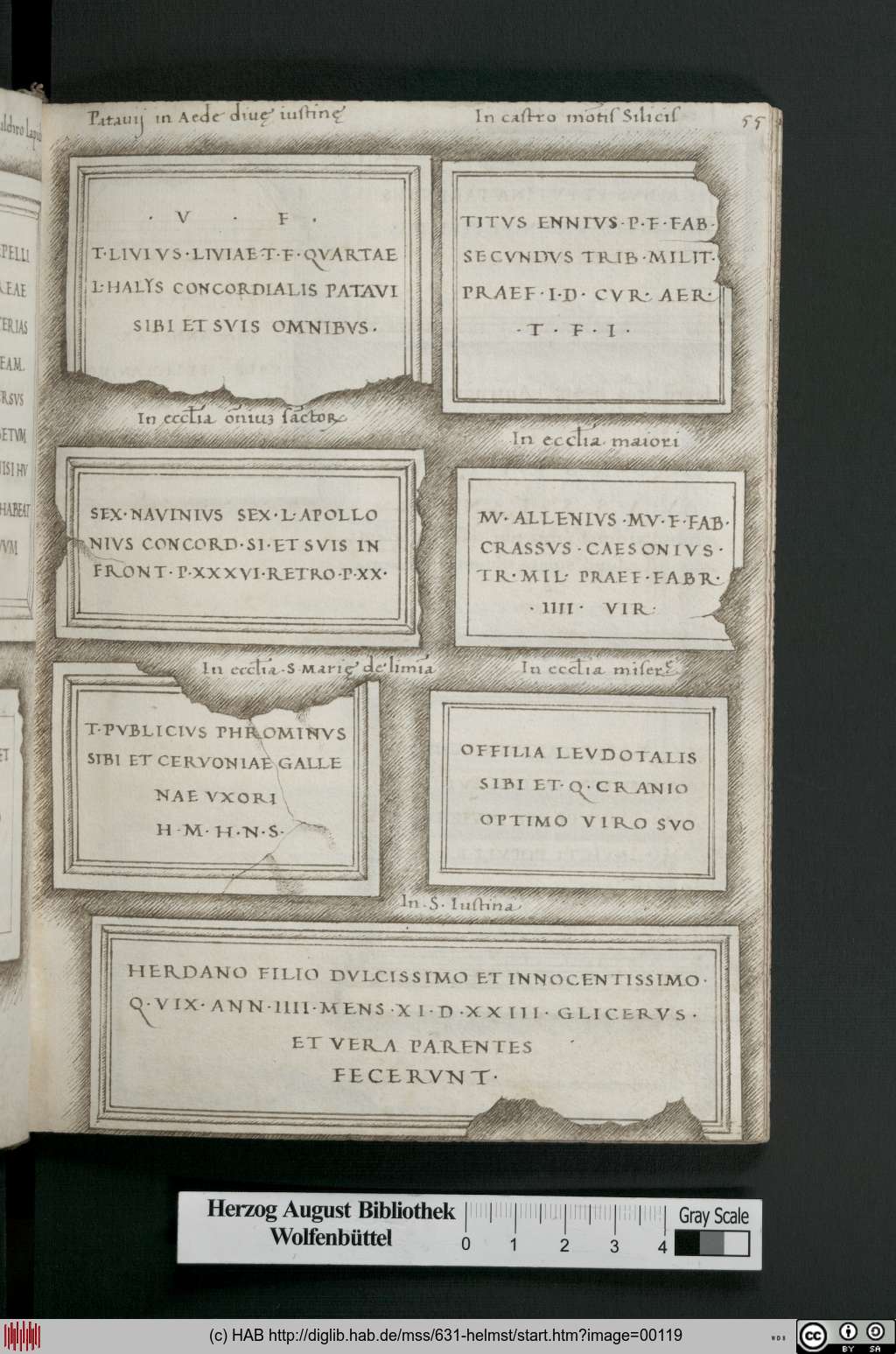 http://diglib.hab.de/mss/631-helmst/00119.jpg