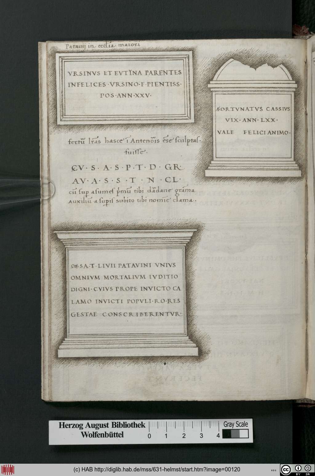 http://diglib.hab.de/mss/631-helmst/00120.jpg
