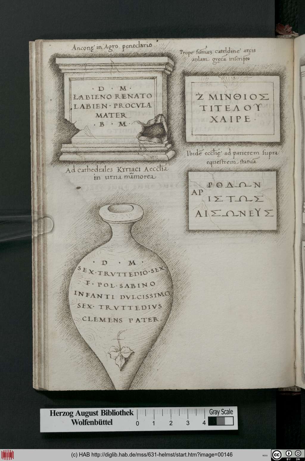 http://diglib.hab.de/mss/631-helmst/00146.jpg