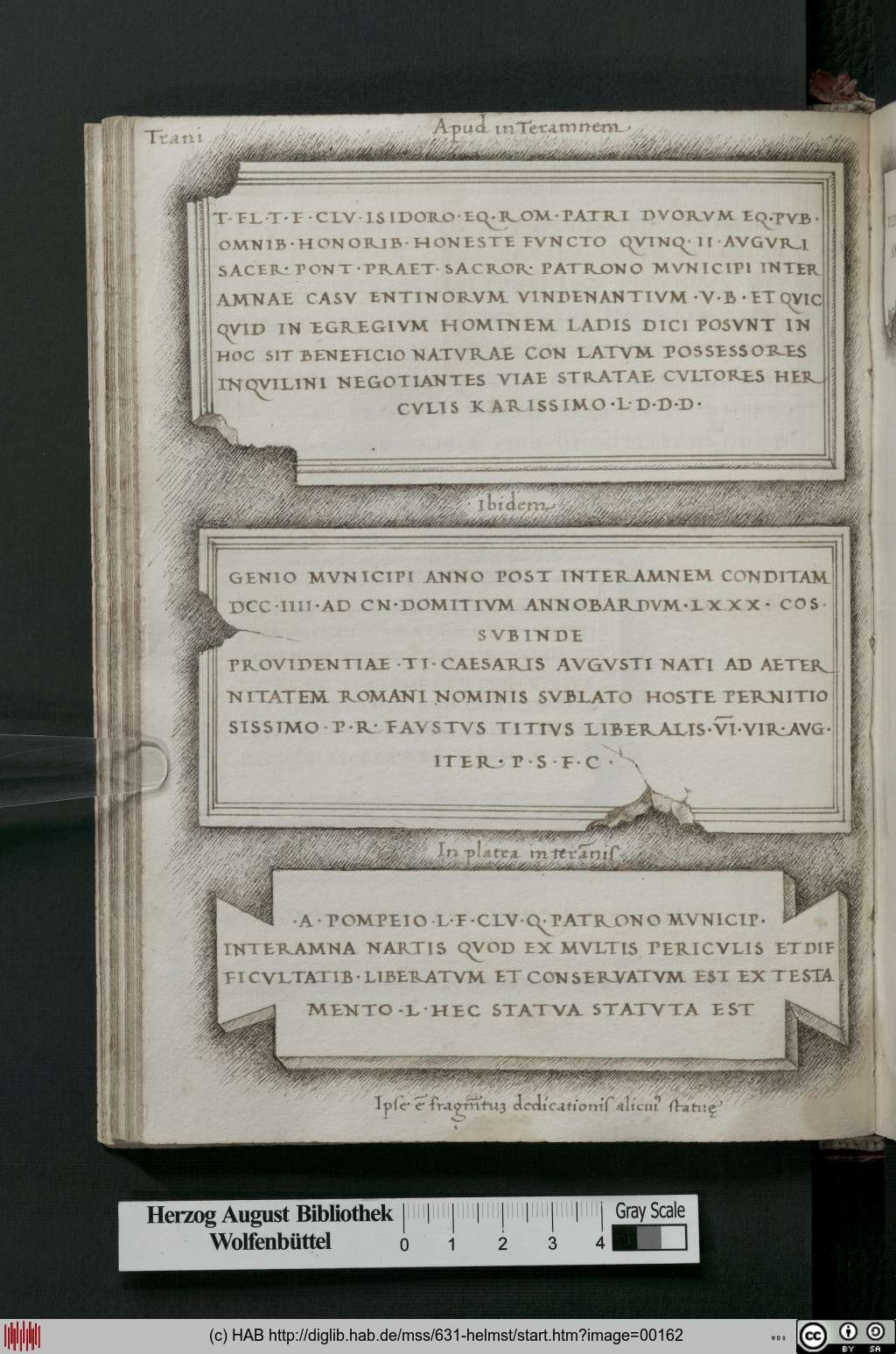 http://diglib.hab.de/mss/631-helmst/00162.jpg