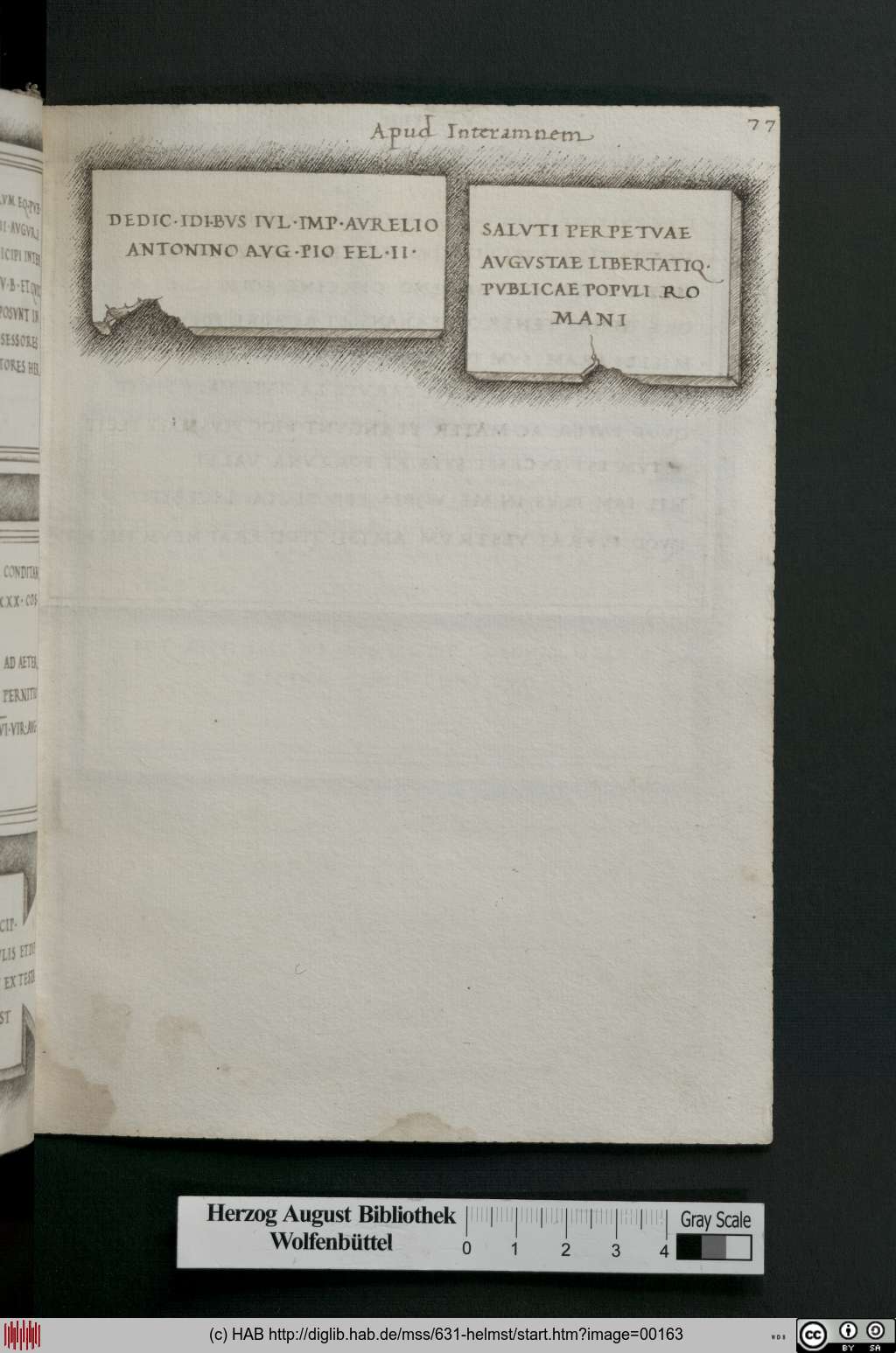 http://diglib.hab.de/mss/631-helmst/00163.jpg