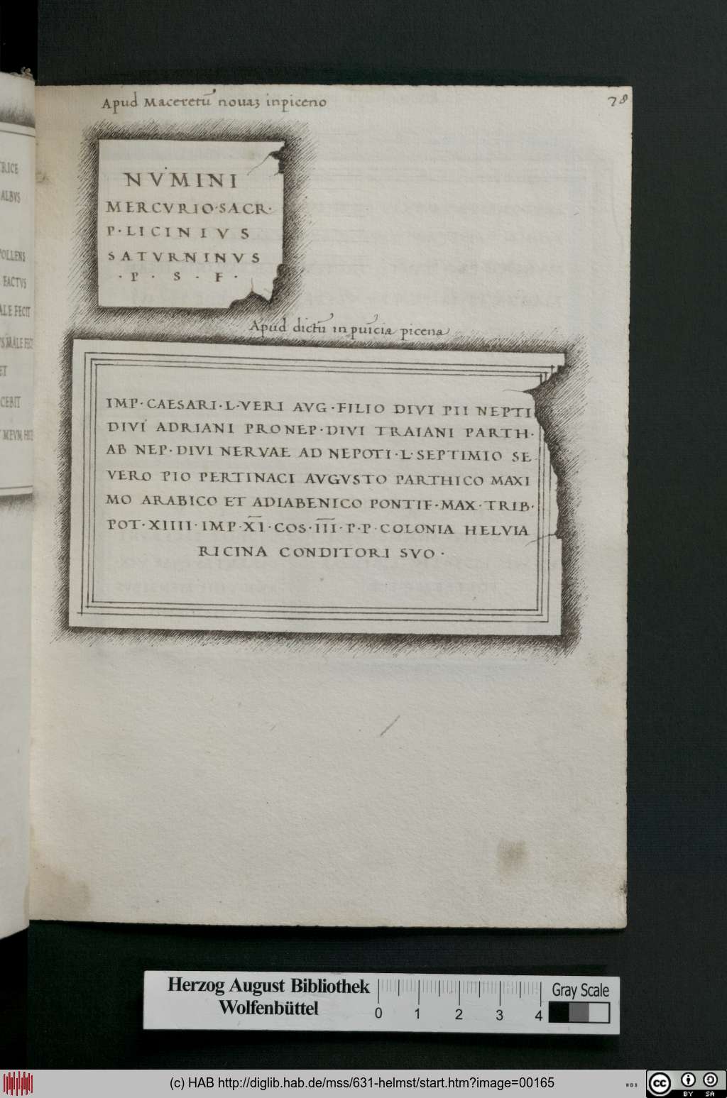 http://diglib.hab.de/mss/631-helmst/00165.jpg