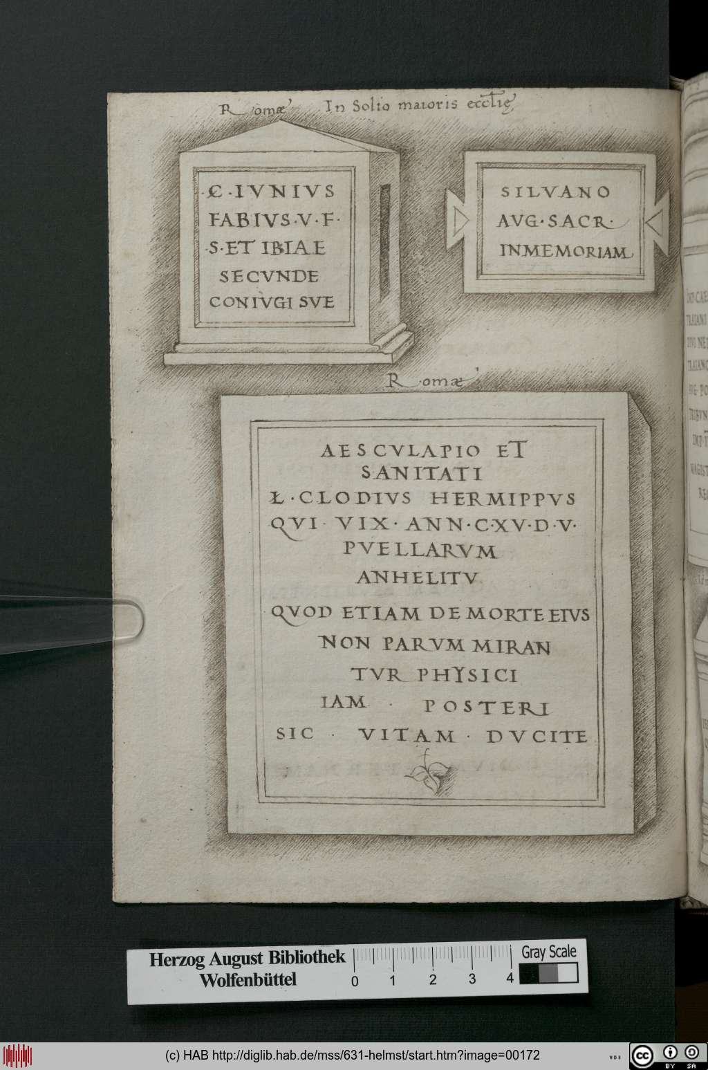 http://diglib.hab.de/mss/631-helmst/00172.jpg