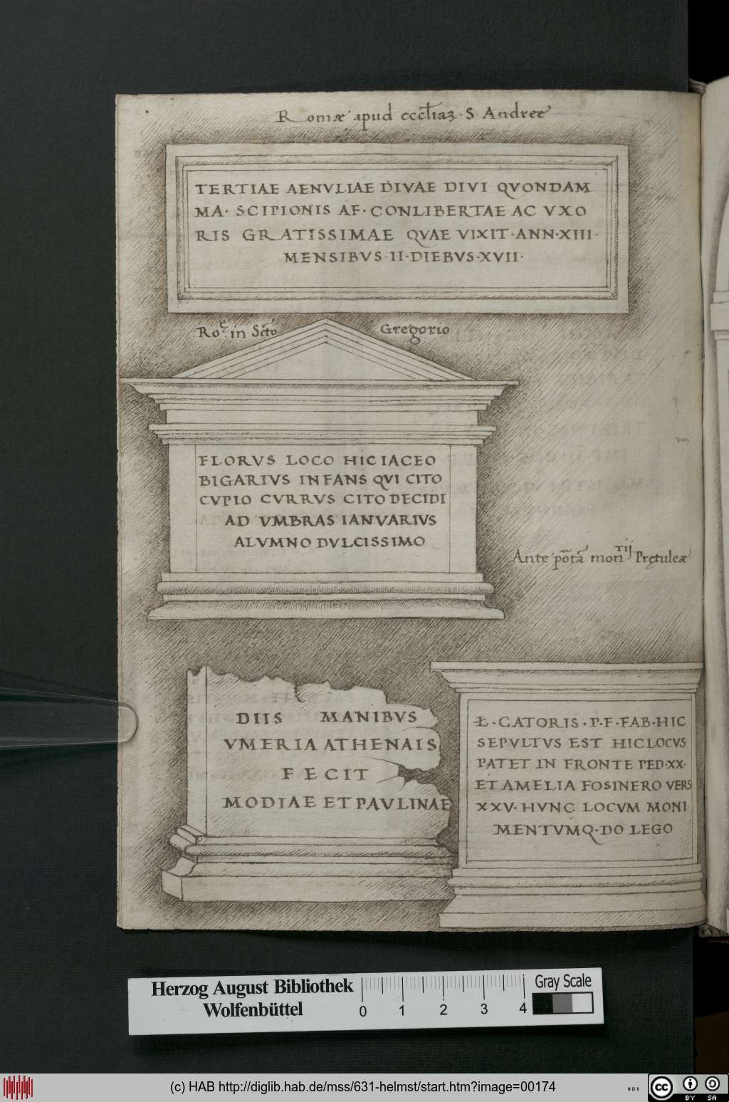 http://diglib.hab.de/mss/631-helmst/00174.jpg