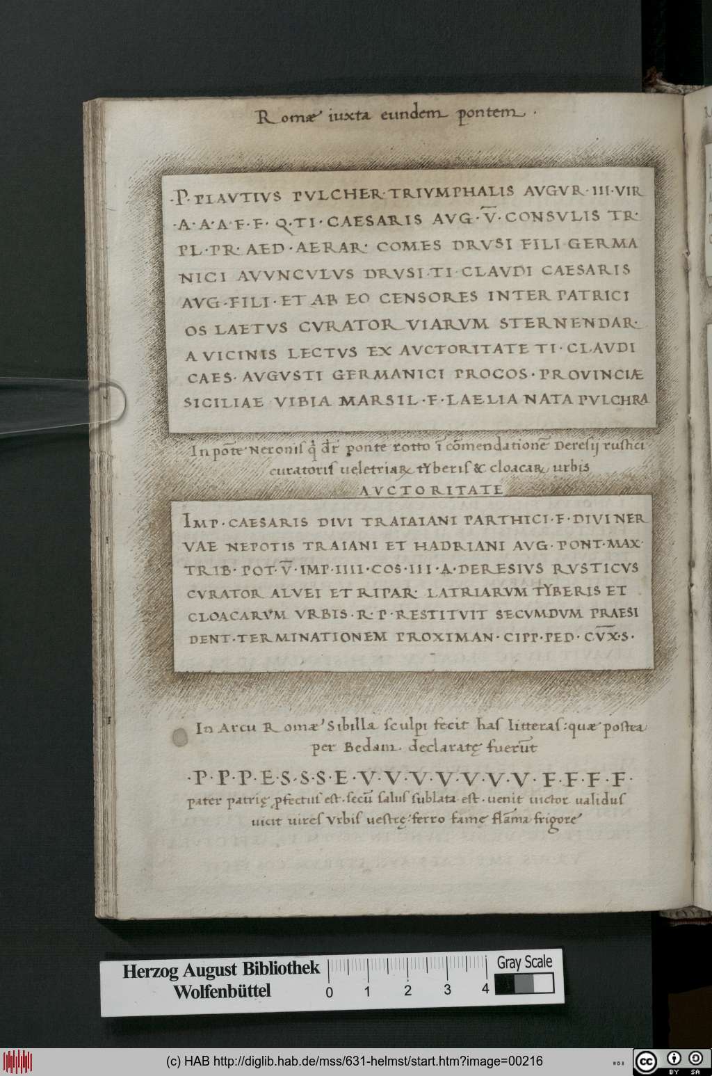 http://diglib.hab.de/mss/631-helmst/00216.jpg