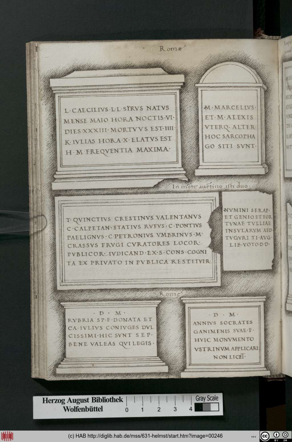 http://diglib.hab.de/mss/631-helmst/00246.jpg