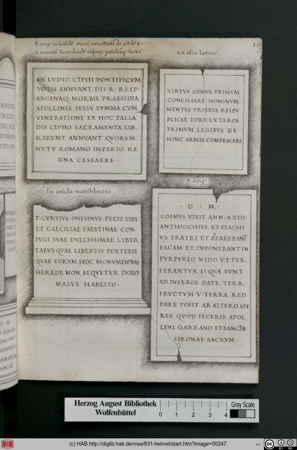 http://diglib.hab.de/mss/631-helmst/00247.jpg