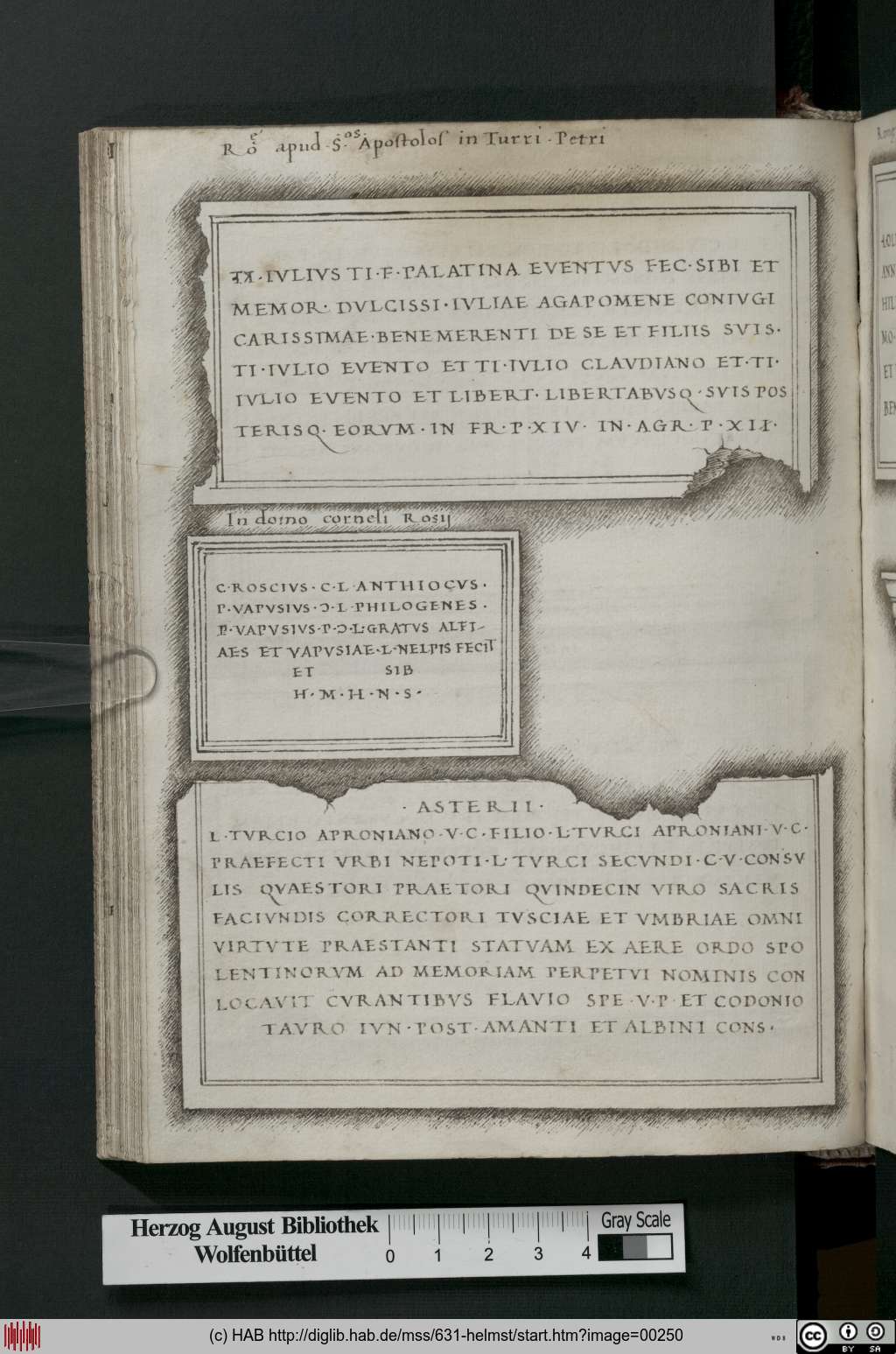 http://diglib.hab.de/mss/631-helmst/00250.jpg