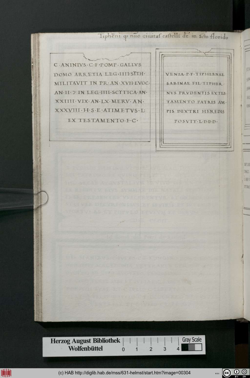 http://diglib.hab.de/mss/631-helmst/00304.jpg