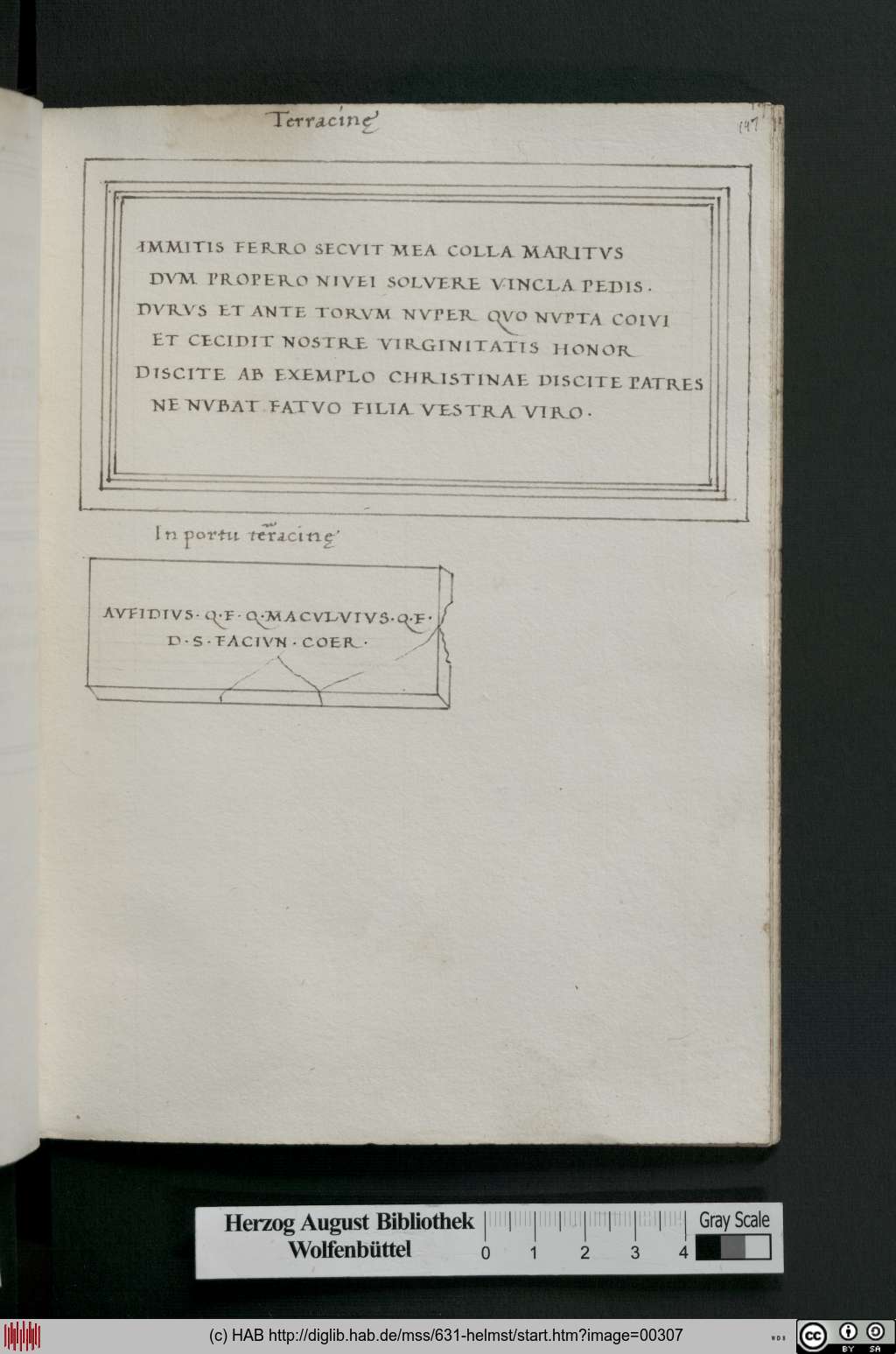 http://diglib.hab.de/mss/631-helmst/00307.jpg
