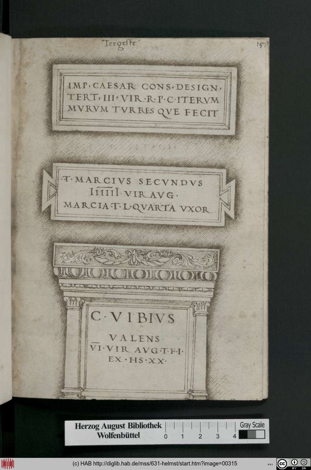 http://diglib.hab.de/mss/631-helmst/00315.jpg